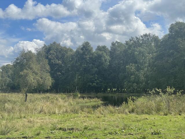 Intakte Moore speichern enorm viel CO₂. Hier zu sehen ist der nördliche Teil des Moorgürtels | Foto: Mennrich