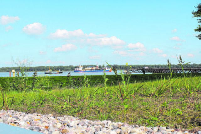 Blick vom Festungsdach auf die Elbe | Foto: sb