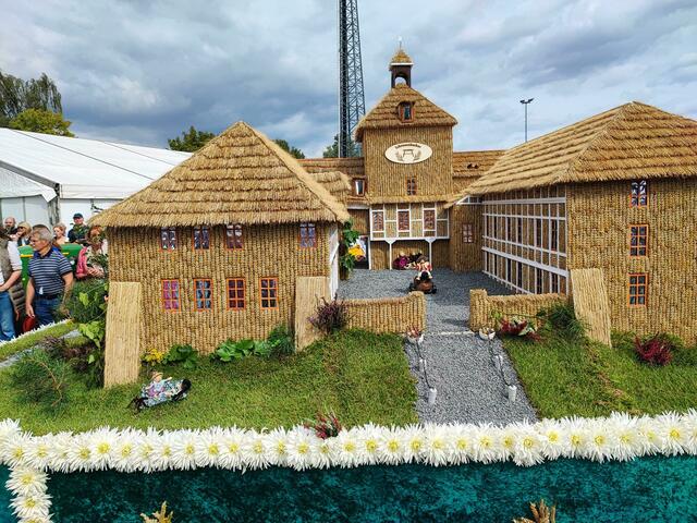 2. Platz für das Winsener Schloss | Foto: thl (alle)