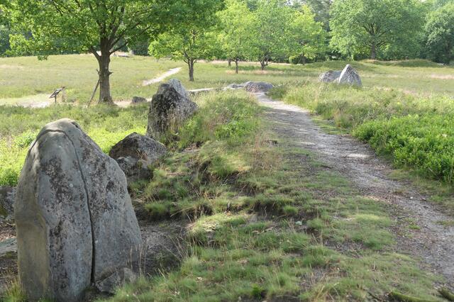 Bekannt und archäologisch höchst interessant: die Oldendorfer Totenstatt, die zum Landschaftsschutzgebiet des Landkreises Lüneburg gehört | Foto: Naturpark Lüneburger Heide