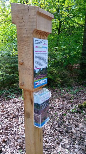 Nahaufnahme der Stele im Ahornweg nahe Seppensen im Landkreis Harburg. Hier gibt es Informationen über das Landschaftsschutzgebiet Lohbergen, Höllental und angrenzende Flächen | Foto: Naturpark Lüneburger Heide