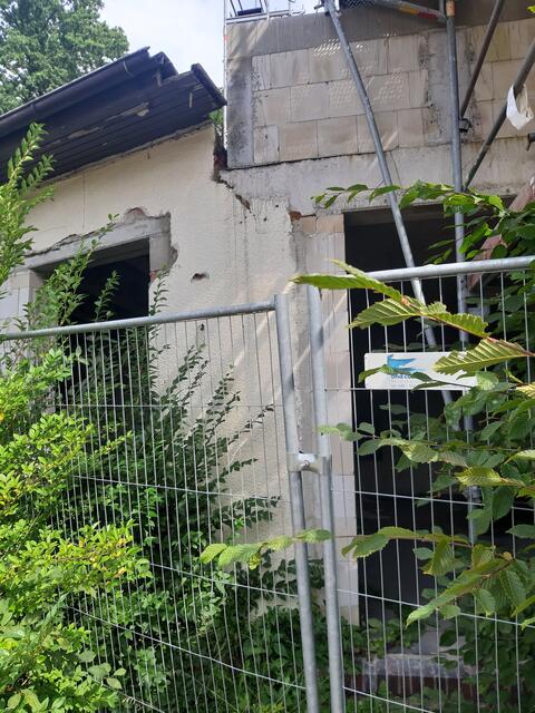 Mannshohe Büsche wucherten Fenster zu | Foto: Stiller