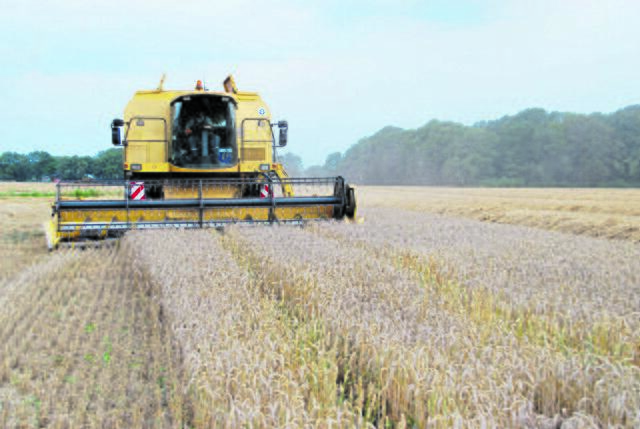Foto: Hollweg/LWK Niedersachsen