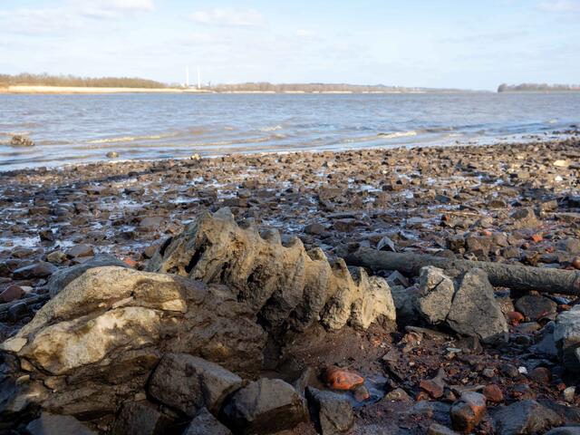 Foto: (c) Robert Gitler