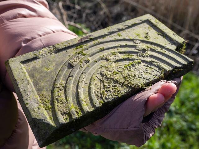 Foto: (c) Robert Gitler