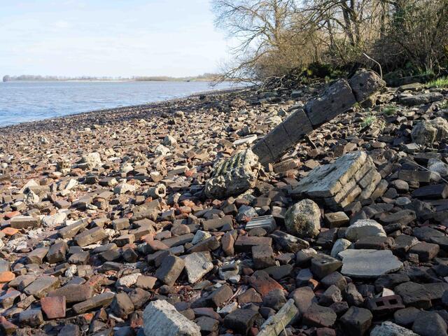 Foto: (c) Robert Gitler