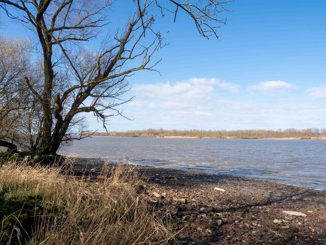 Foto: (c) Robert Gitler