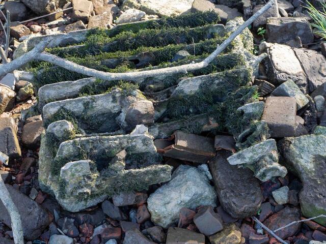 Foto: (c) Robert Gitler