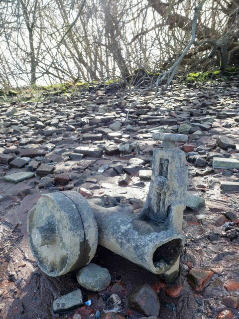 Foto: (c) Robert Gitler