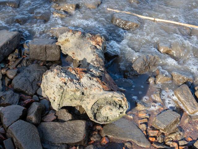 Foto: (c) Robert Gitler