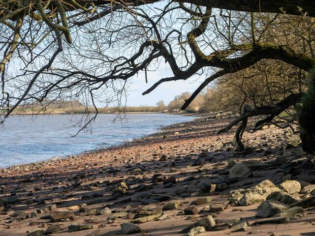 Foto: (c) Robert Gitler