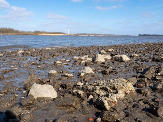 Foto: (c) Robert Gitler