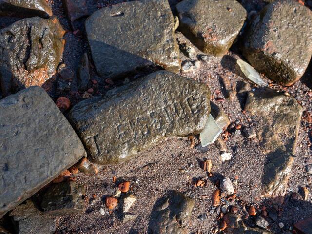 Foto: (c) Robert Gitler