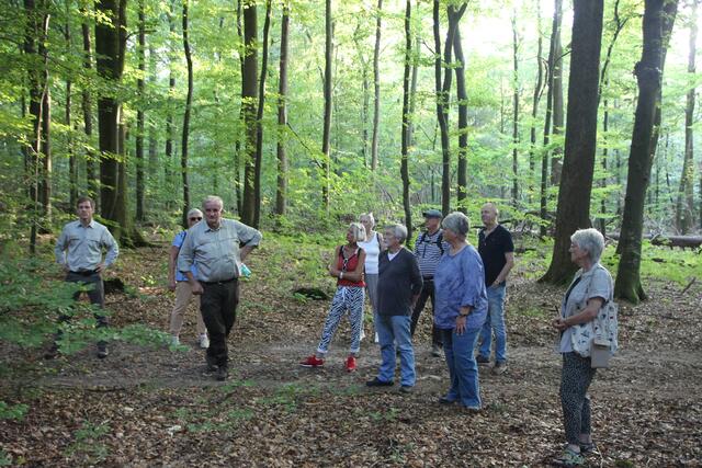 Teilnehmer an der plattdeutschen Waldführung im Wald der Försterei Rosengarten, Ganz links im Bild Victor Steinmann, 2. von links Bernd Westphalen  | Foto: Niedersächsische Landesforsten 