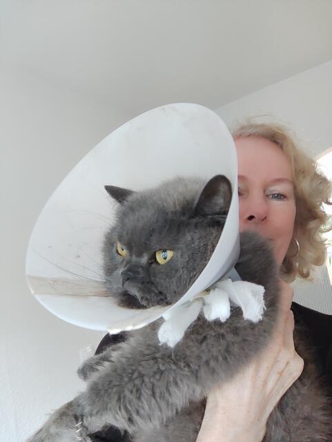Kater "Dickie" mit Besitzerin Gerlinde Granz | Foto: Granz