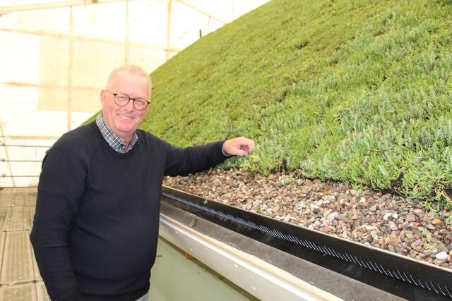 Hermann Schulz ist beim HSV u.a. für das Greenkeeping der Sportanlagen zuständig. Gemeinsam mit Viebrockhaus erforscht er in der "SmartCity" Gründächer | Foto: sb