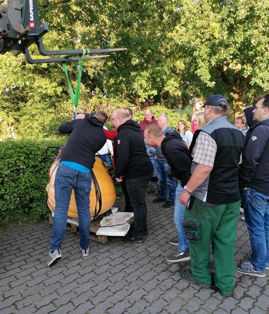 Mit vereinten Kräften auf die Waage | Foto: Merle Boroske