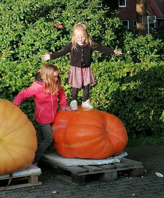 Wer ist größer? Lisa Boroske (9, neben dem Kürbis) und Miya Wegner (4) machen den Test | Foto: Merle Boroske