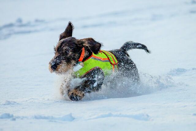 Der kleine Anton aus Garlstorf liebt den Schnee | Foto:  Jens-Uwe Schütze