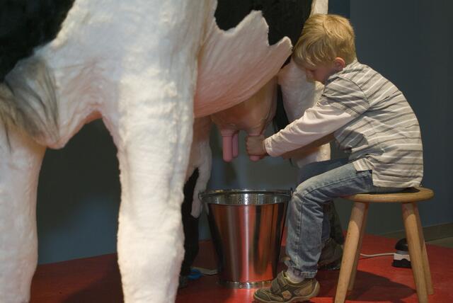"Erntezeit im Museum" und neue Dauerausstellung "Milchwirtschaft. Alles in Butter" am 22.10. im Freilichtmuseum am Kiekeberg | Foto: FLMK