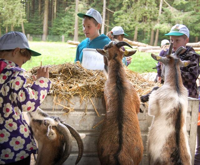 Im Wildpark Schwarze Berge können Kinder Tiere umsorgen | Foto: Wildpark Schwarze Berge