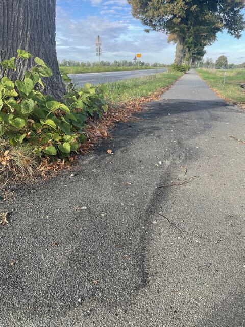 Auch der Radweg an der K39 am Ortsausgang Klecken ist uneben und birgt Gefahren  | Foto: pm