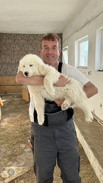 Ralf Langner bei seinem Arbeitseinsatz in Rumänien mit einem der Hunde aus dem Shelter | Foto: Ralf Langner