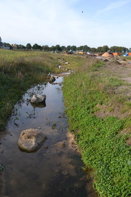 Der Heidlohbach hat durch die Renaturierung neuen Schwung bekommen | Foto: bim