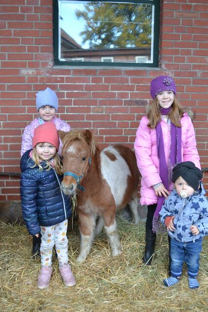 Lourdes-Mey und Charlotte-Rose (hinten, v. li.) sowie Lillesol-Anouk und Laurent-Philippe (vorne v. li.) waren begeistert, beim Kram- und Viehmarkt in Egestorf Tiere hautnah zu erleben | Foto: bim