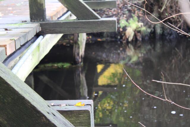Brücke "Am Wiedenhof": Die Bohlen wurden zum Teil schon ausgetauscht, Balken im Wasser sind aber stark verfault | Foto: pöp
