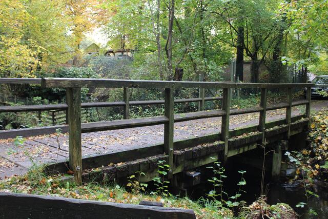 Brücke am Hof Weihe: Der Bohlenbelag ist zum Teil von Pilzen befallen | Foto: pöp