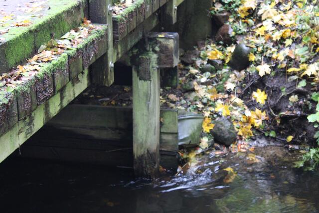 Brücke am Hof Weihe: vermoderter Balken im Wasser | Foto: pöp