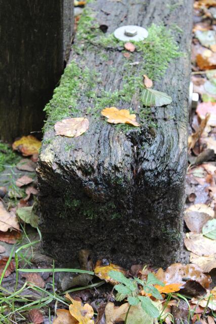 Brücke am Hof Weihe: angefaulter Balken | Foto: pöp