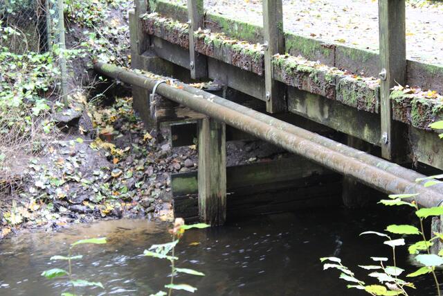 Brücke am Hof Weihe: vermoderter Balken im Wasser | Foto: pöp