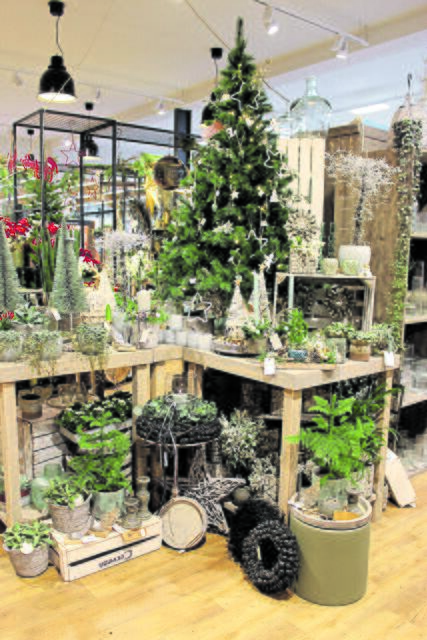 Weihnachtliche Dekorationen, darunter dekorative Gestecke, beim Raiffeisen-Markt der Raisa in Fredenbeck    | Foto: sb