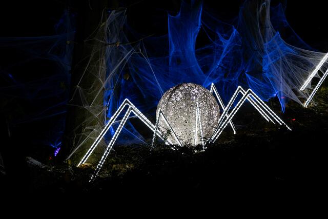 Foto: (c) Robert Gitler