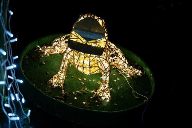 Foto: (c) Robert Gitler