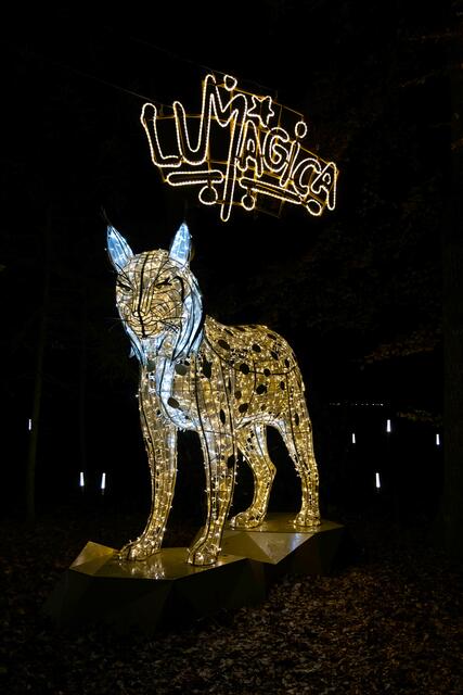 Foto: (c) Robert Gitler