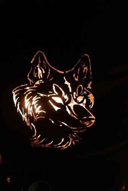 Foto: (c) Robert Gitler