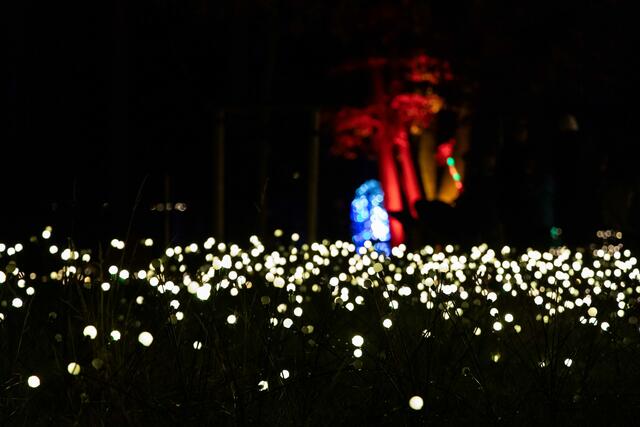 Foto: (c) Robert Gitler