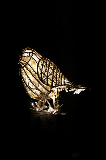 Foto: (c) Robert Gitler