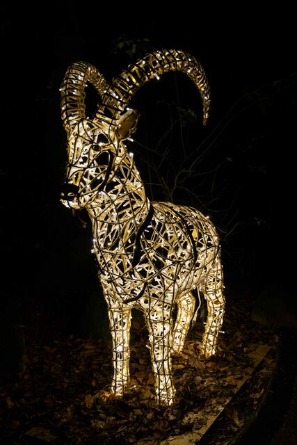 Foto: (c) Robert Gitler