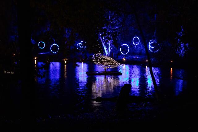 Foto: (c) Robert Gitler