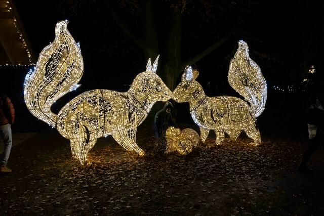 Foto: (c) Robert Gitler