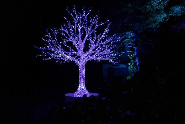 Foto: (c) Robert Gitler