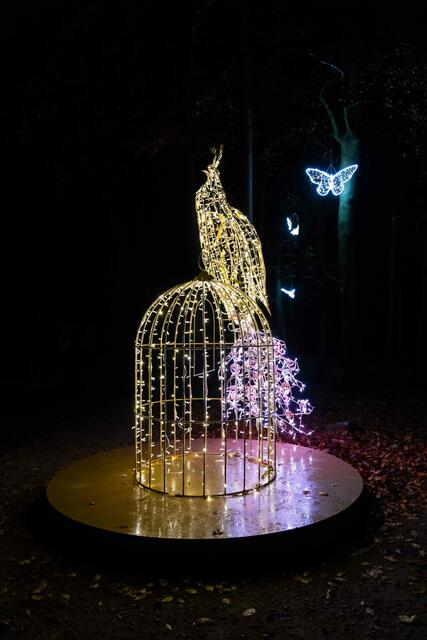 Foto: (c) Robert Gitler