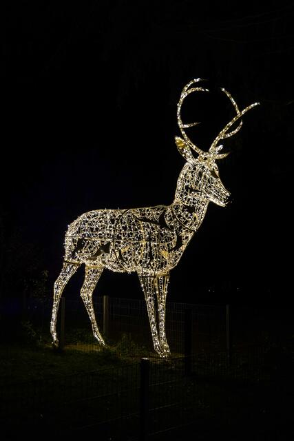 Foto: (c) Robert Gitler