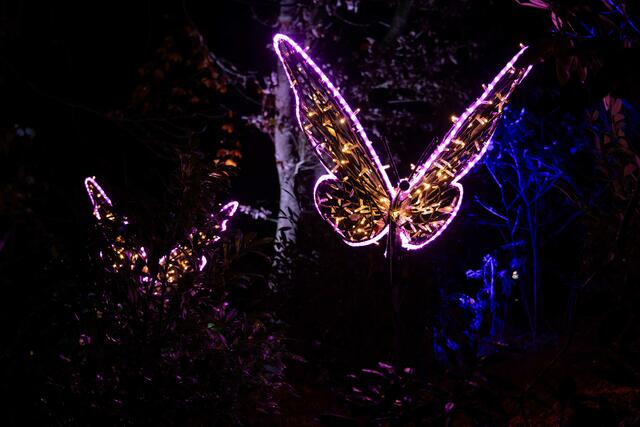 Foto: (c) Robert Gitler