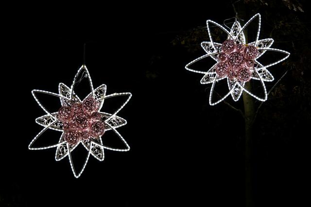 Foto: (c) Robert Gitler