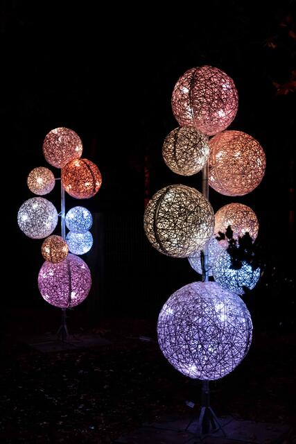 Foto: (c) Robert Gitler